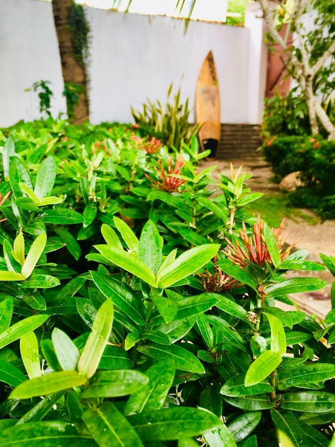 Casa Jeri Villa Jijoca de Jericoacoara Buitenkant foto